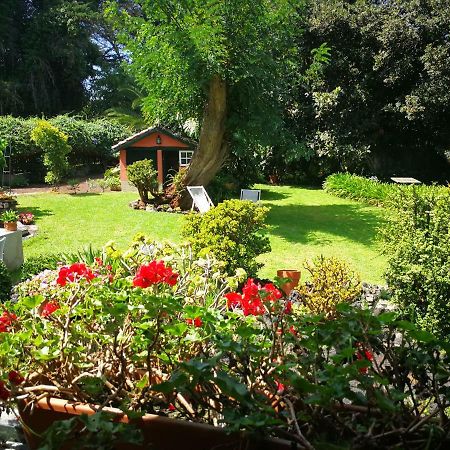 Jardines De Hortensia - Vacation Home Tenerife La Laguna  Exterior photo