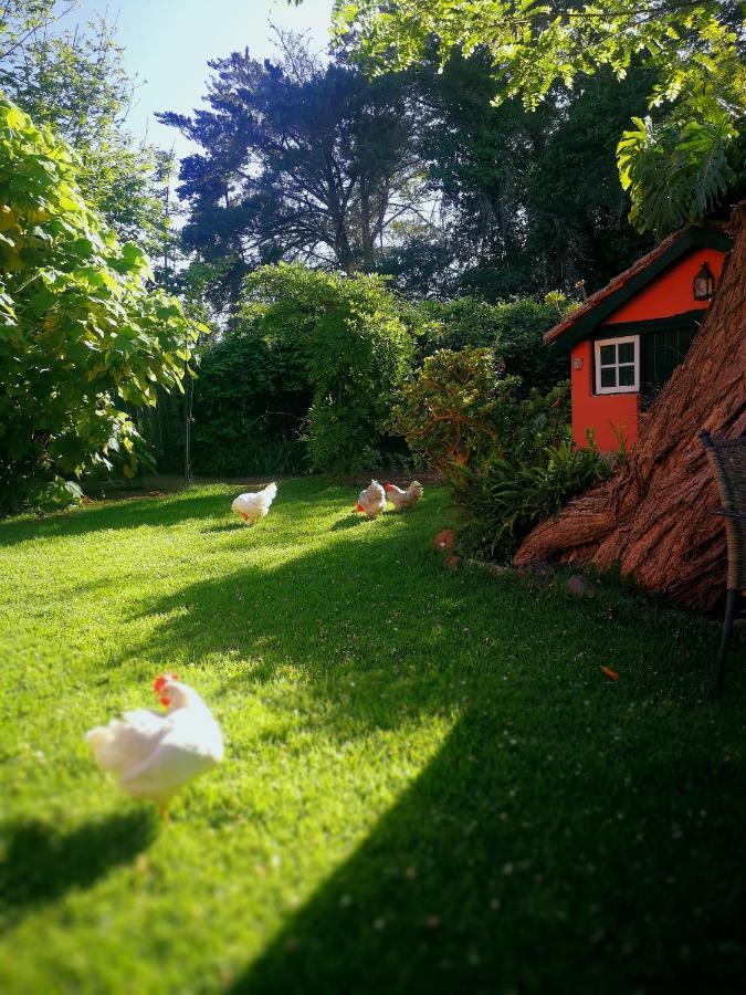 Jardines De Hortensia - Vacation Home Tenerife La Laguna  Exterior photo
