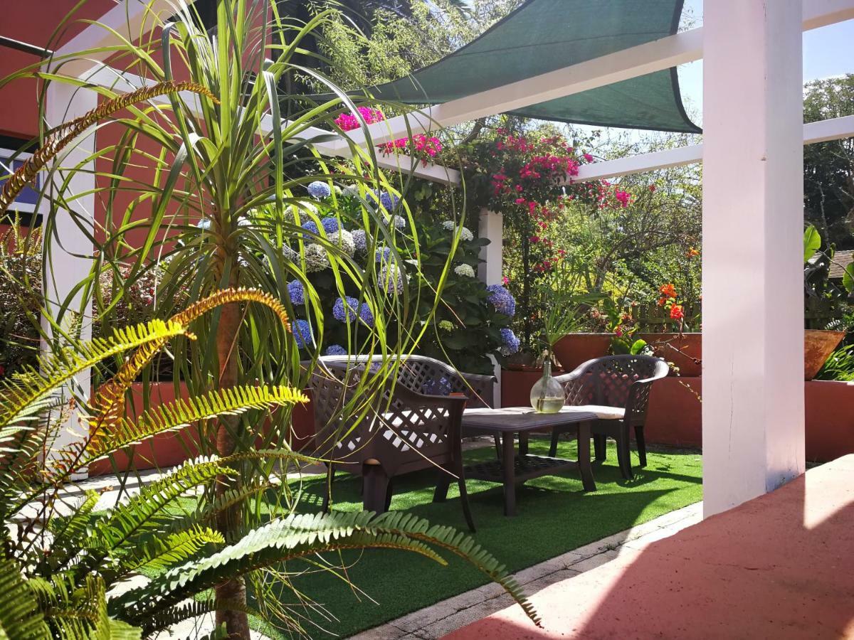 Jardines De Hortensia - Vacation Home Tenerife La Laguna  Exterior photo