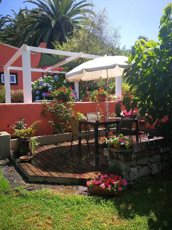 Jardines De Hortensia - Vacation Home Tenerife La Laguna  Exterior photo